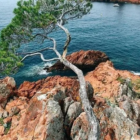 Апартаменты Studio 5 Personnes Studio 4/5 Personnes Vue Mer Au Calme - Cap Esterel, Cote D'azur. Сен-Рафаэль